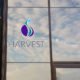 Harvest - Window Decal