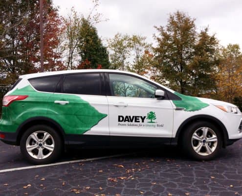 Davey Tree Davey Tree